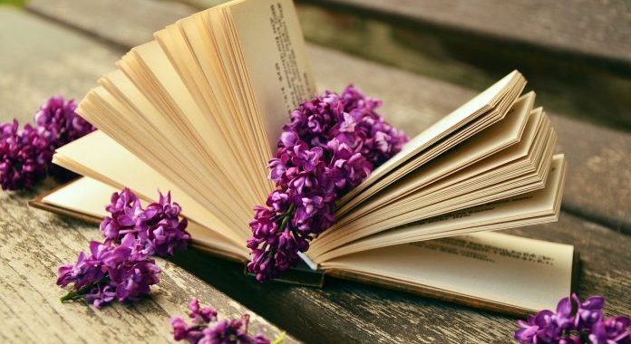Hạt xốp màu Gò Vấp